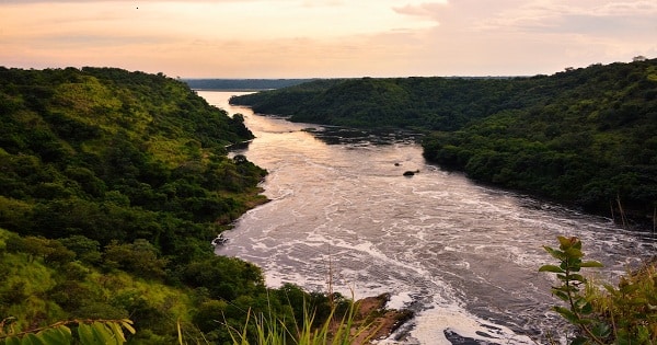 مقال عن نهر النيل شريان الحياة يلا نذاكر